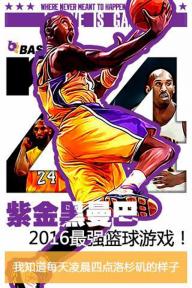 BT篮球(图1)
