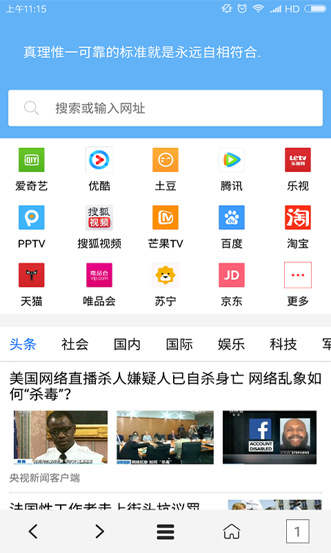 VIP浏览器(图1)