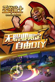 王的骑士(图2)