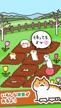 猫咪田园(图1)