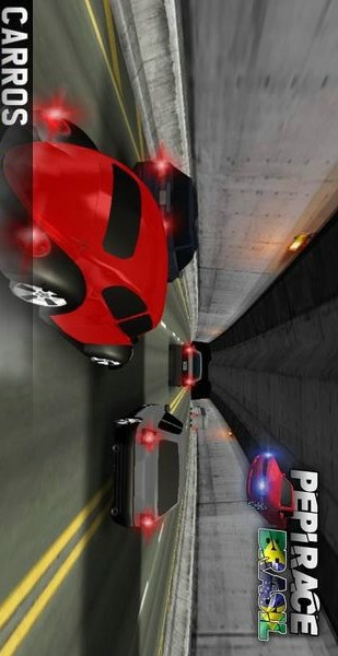 沛比赛车(图1)