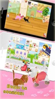 晴天小猫(图2)