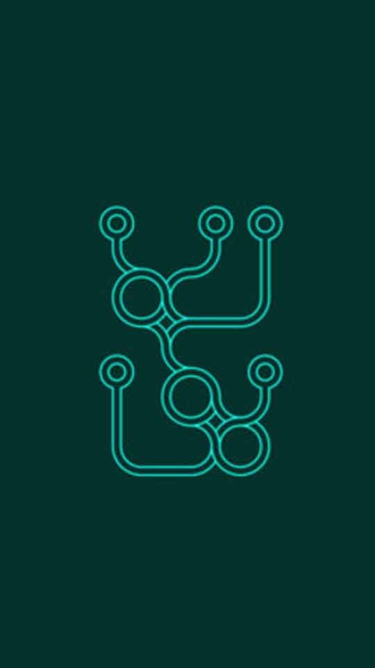 再环(图1)