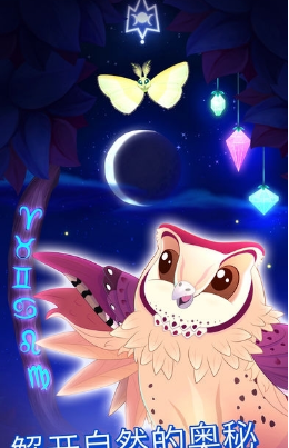 彩翼之星夜(图3)