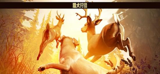 猎鹿人2018(图2)