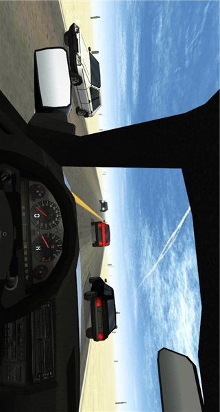 沙漠公路飙车(图2)