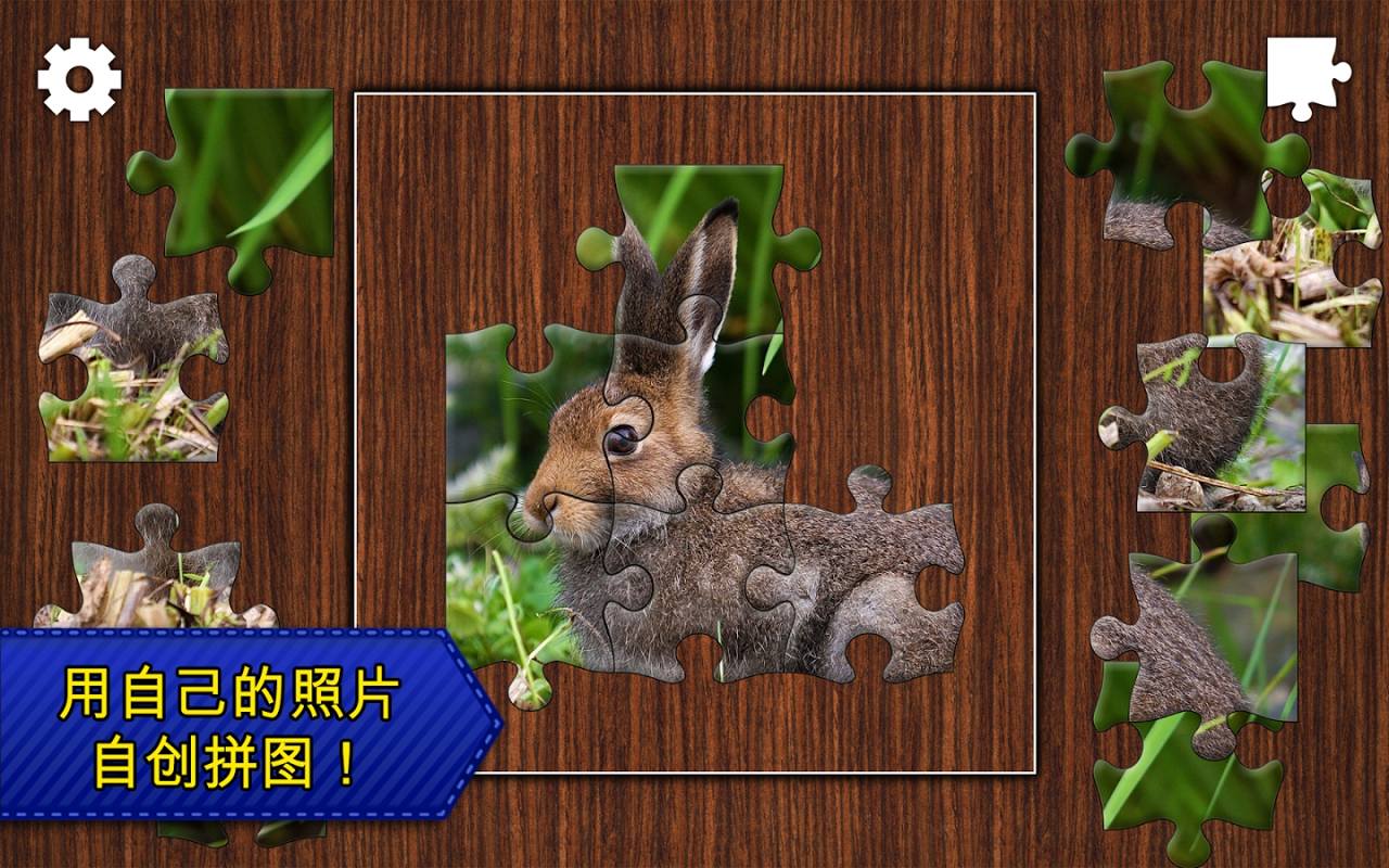 拼图传奇破解游戏(图三)
