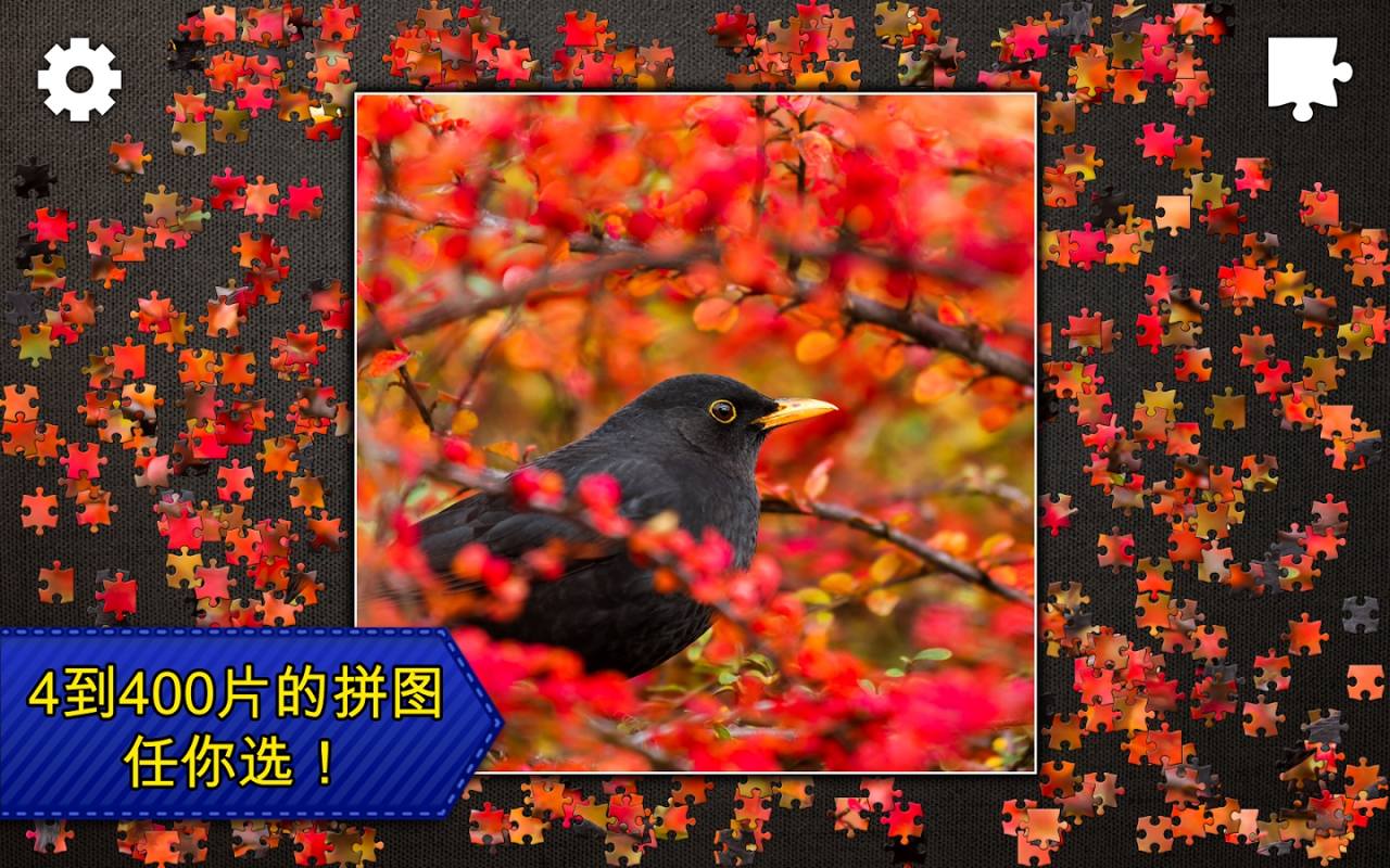 拼图传奇破解游戏(图一)