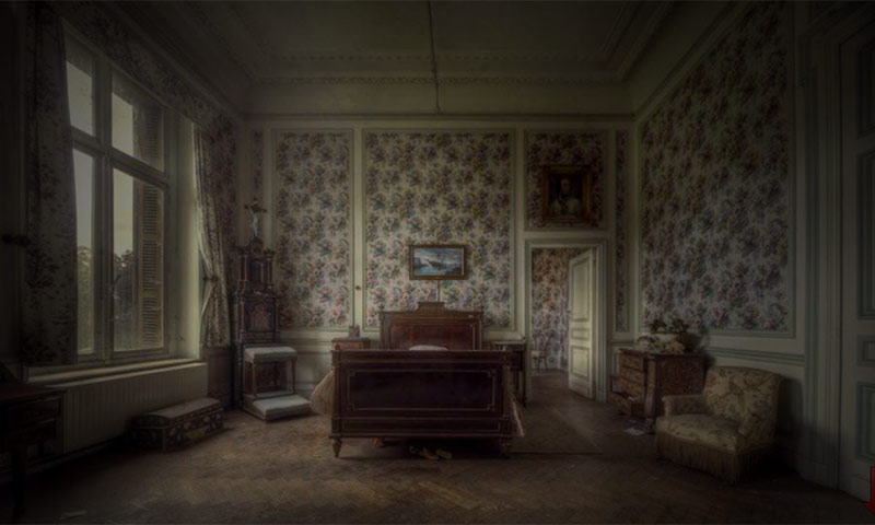 被遗弃的房子Abandoned House(图7)