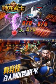 神龙武士(图1)