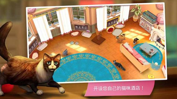 猫舍(图5)