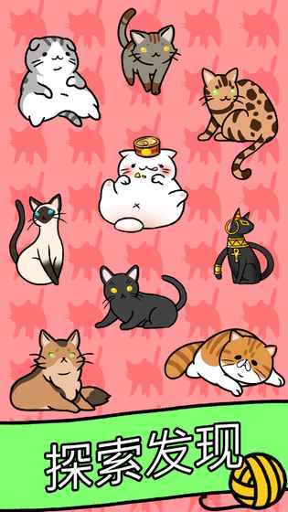 猫咪公寓(图3)