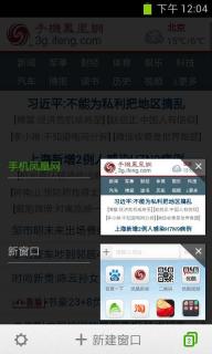 海豚浏览器(图2)