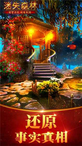 迷失森林(图1)