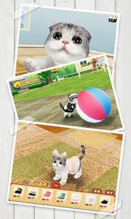 心动小猫(图3)