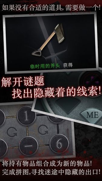 白岛第二季(图3)