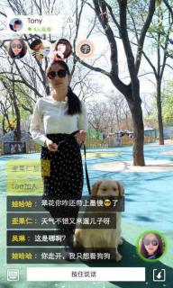YOLO(图2)