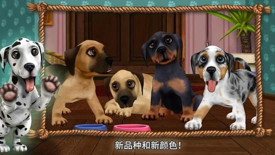 狗狗的世界(图2)