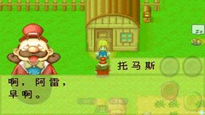 牧场物语(图4)