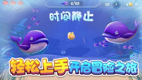 大鱼来了(图1)