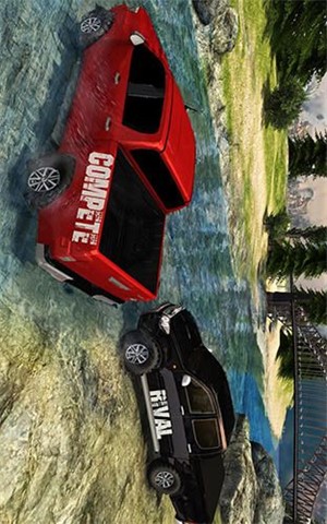 越野爬坡卡车(图2)