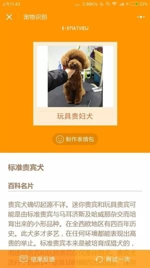 宠物识别(图2)