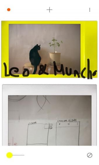 PLOT(图2)