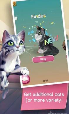 猫咪酷跑破解游戏(图四)