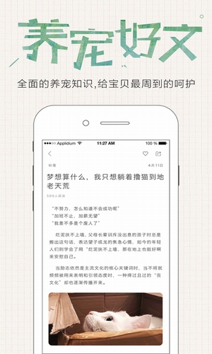 星宠有伴(图1)