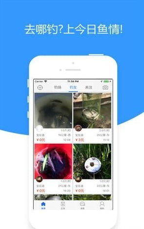 今日鱼情(图3)