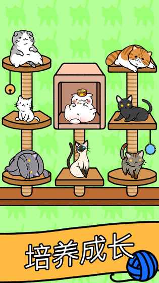 猫咪公寓(图4)