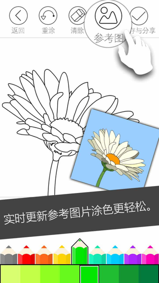 秘密花园2(图2)