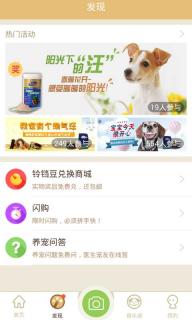 铃铛宠物(图3)