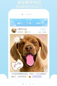 宠物说(图2)