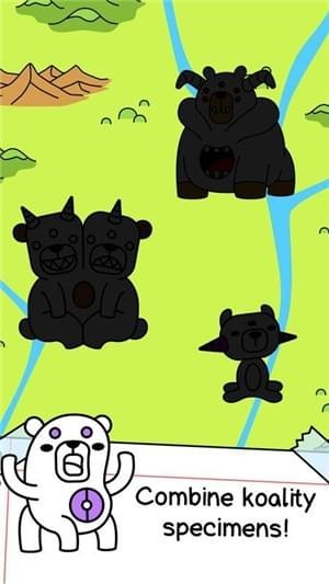 熊的进化(图3)