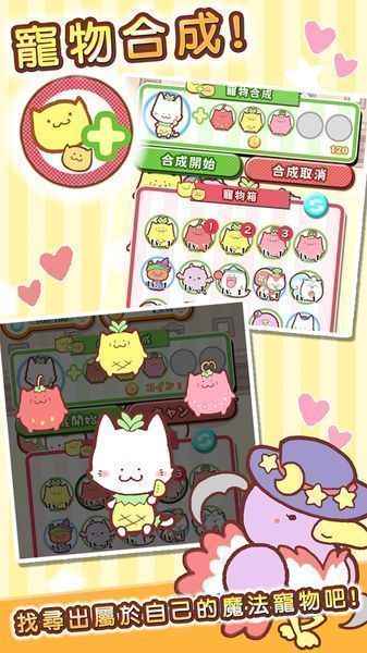魔法宠物屋(图1)
