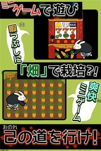 兔子组红顶之家(图2)