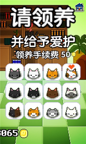 我家猫咪很任性(图2)