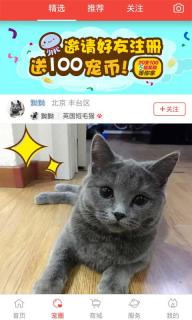 有宠(图4)