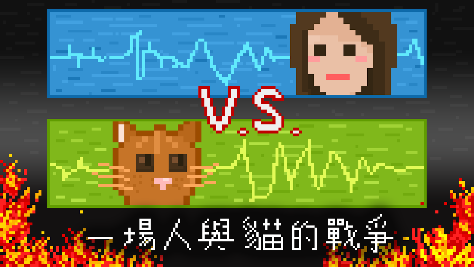 小笨猫(图3)