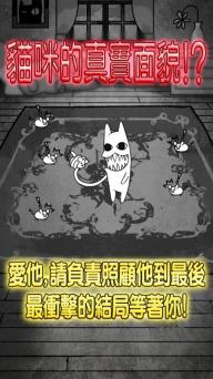 世界奇喵物语(图1)