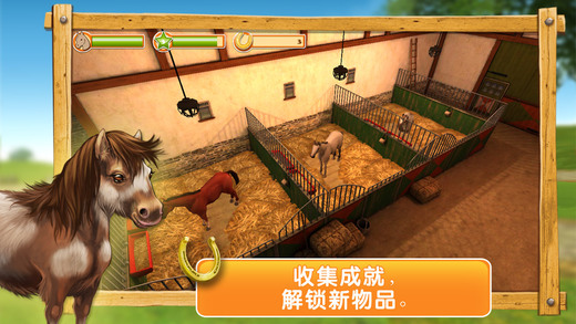 我的骏马3D破解游戏(图四)