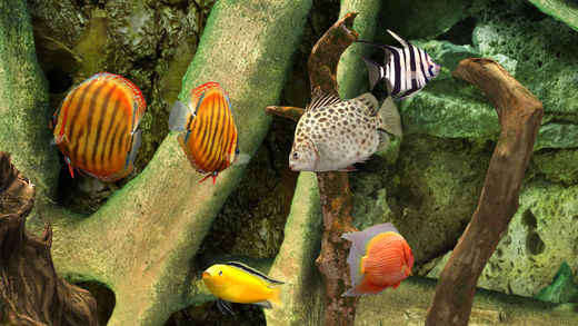 我的湖3D：水族館破解游戲(圖四)