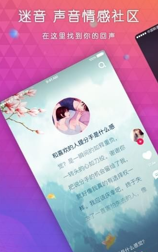 迷音(图1)