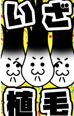 不能再秃下去了破解游戏(图二)