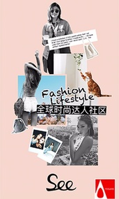 See(图4)