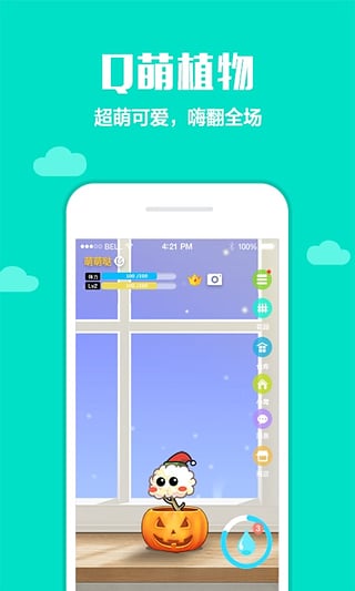 口袋植物(图2)