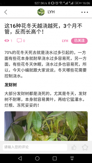 爱园艺(图3)