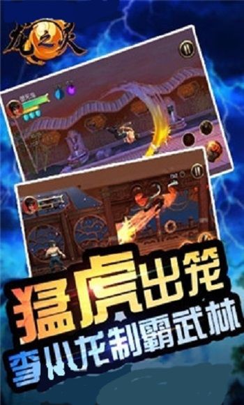 龙之灵(图2)