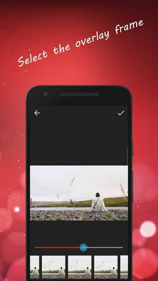 Flapix(图3)